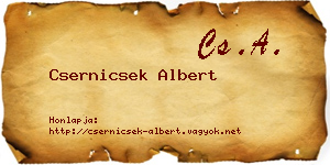 Csernicsek Albert névjegykártya